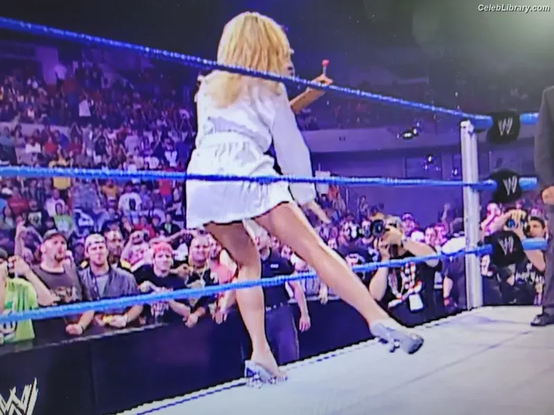 Torrie Wilson photo 16 of 2510