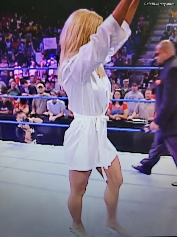 Torrie Wilson photo 19 of 2510