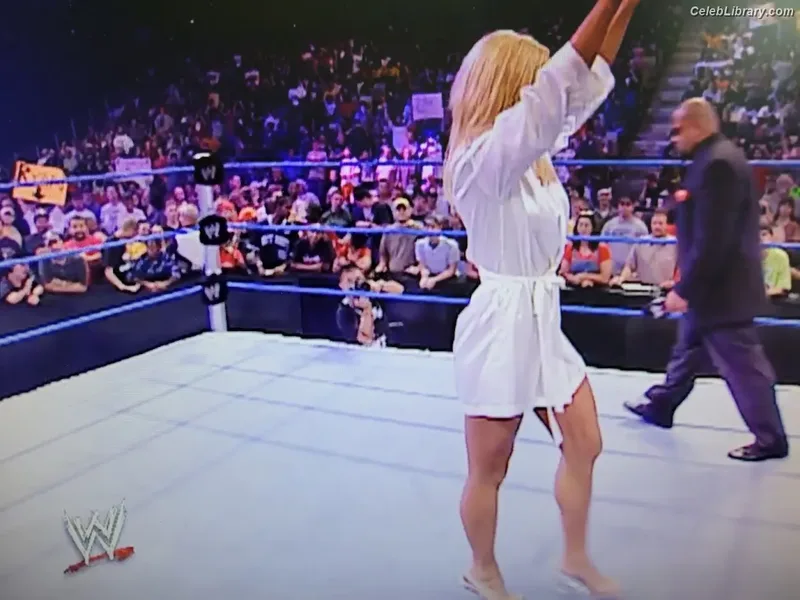 Torrie Wilson photo 22 of 2510