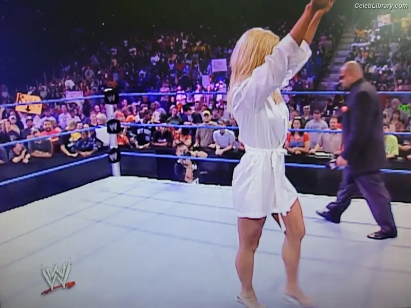 Torrie Wilson photo 24 of 2510