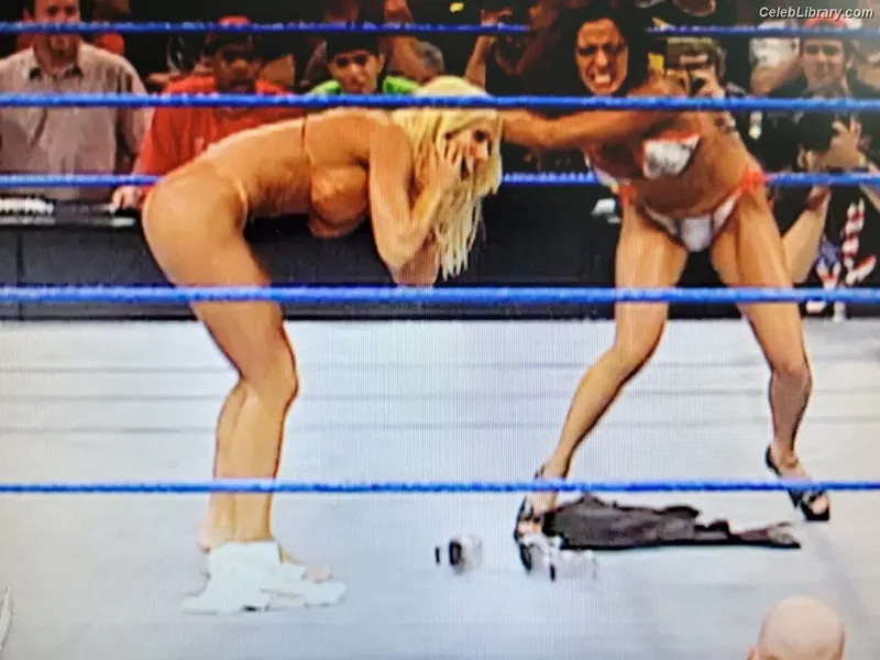 Torrie Wilson photo 12 of 2510