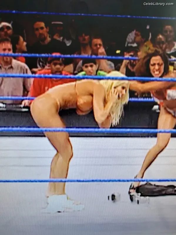 Torrie Wilson photo 13 of 2510