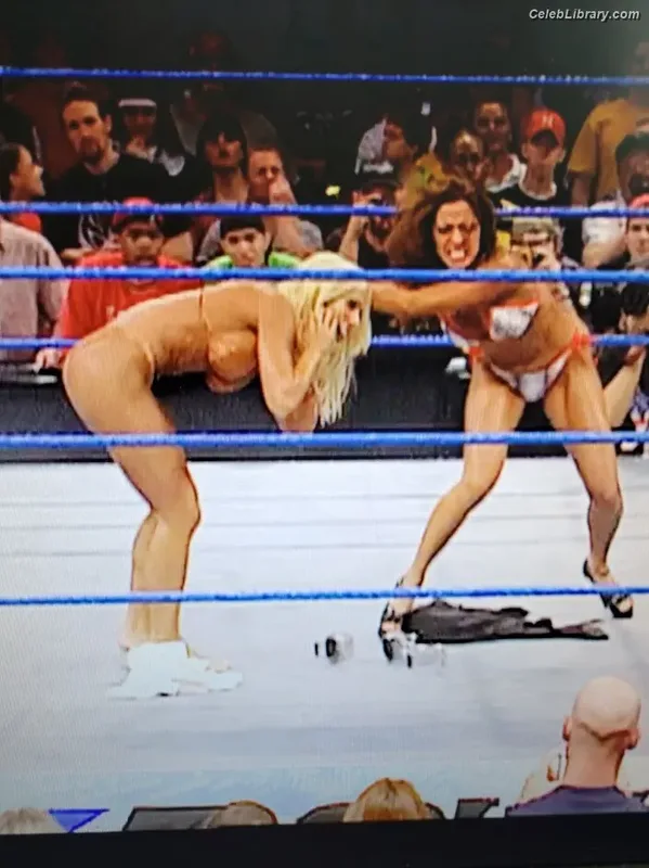 Torrie Wilson photo 14 of 2510