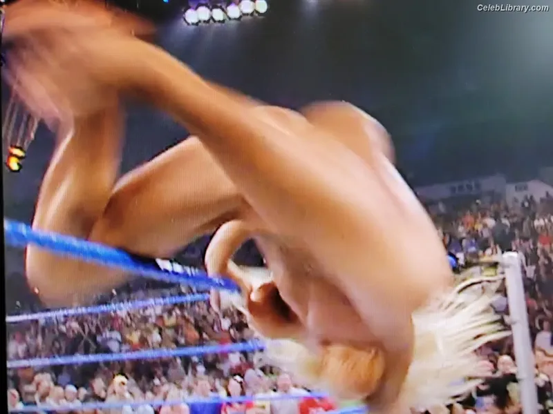 Torrie Wilson photo 19 of 2510