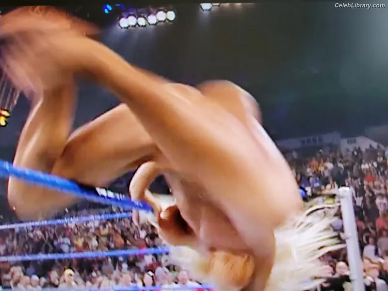 Torrie Wilson photo 20 of 2510