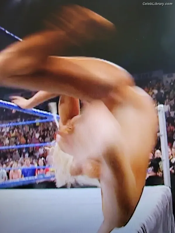 Torrie Wilson photo 24 of 2510