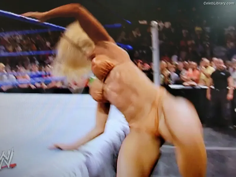Torrie Wilson photo 1 of 2510