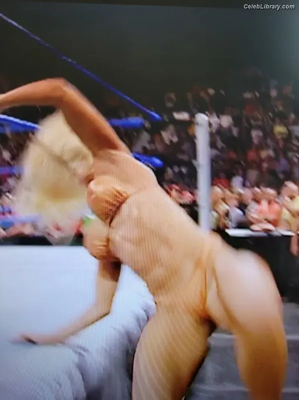 Torrie Wilson photo 2 of 2510