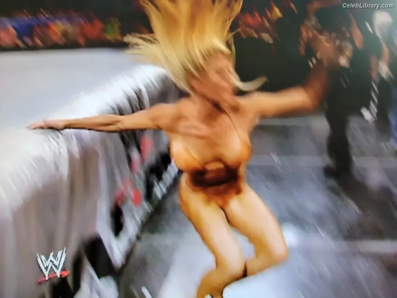 Torrie Wilson photo 4 of 2510