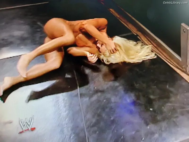 Torrie Wilson photo 13 of 2510