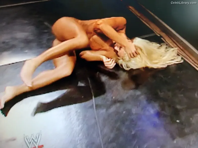 Torrie Wilson photo 17 of 2510