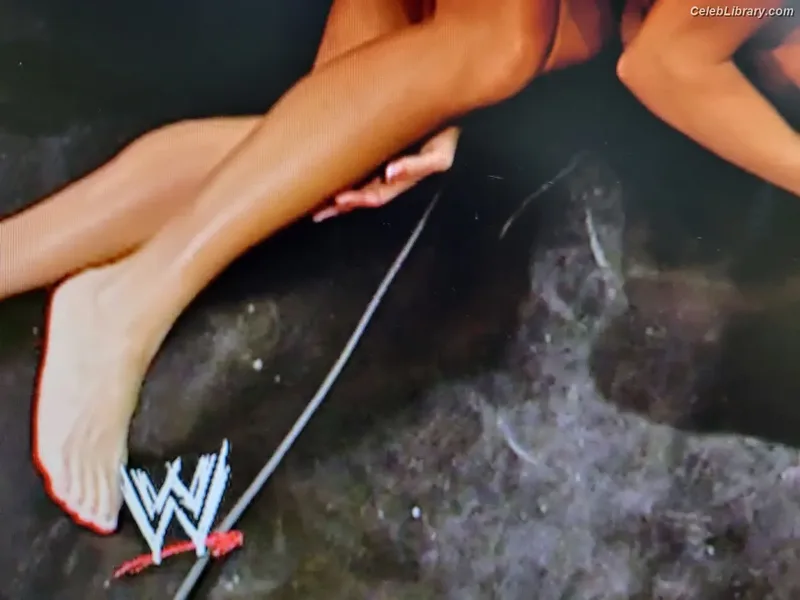 Torrie Wilson photo 9 of 2510