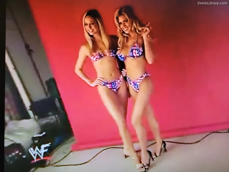 Torrie Wilson photo 19 of 2510