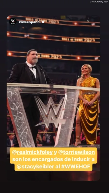 Torrie Wilson photo 11 of 2510