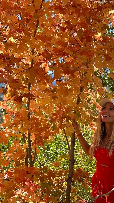 Torrie Wilson photo 6 of 2510