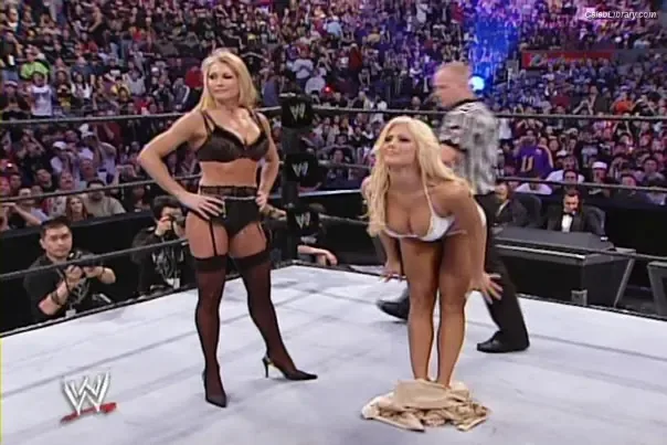 Torrie Wilson photo 21 of 2510