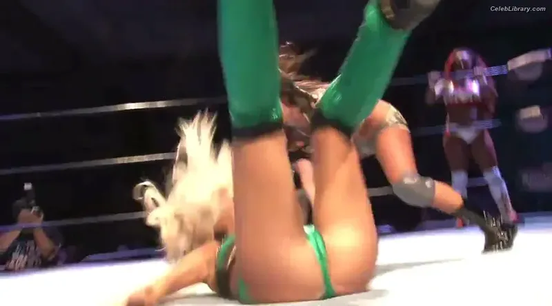 Torrie Wilson photo 3 of 2510