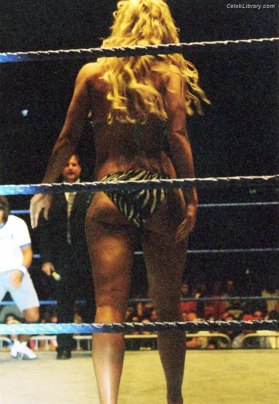 Torrie Wilson photo 15 of 2510
