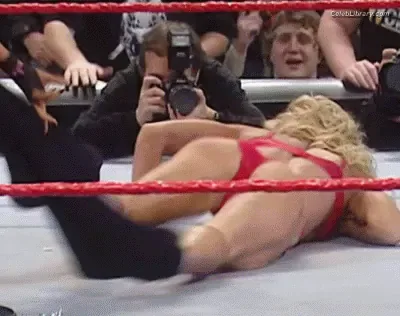 Torrie Wilson photo 1 of 2510