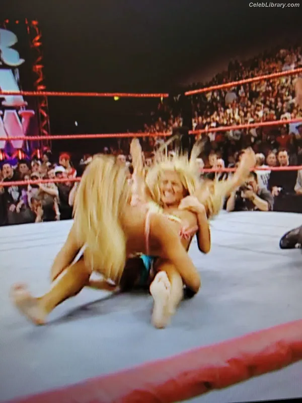 Torrie Wilson photo 2 of 2510