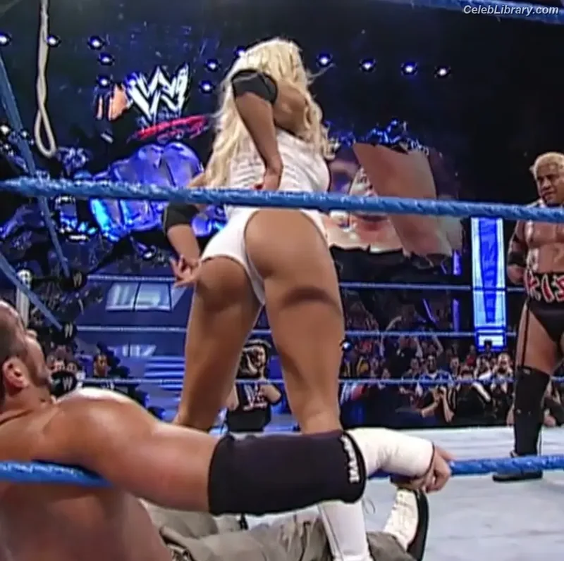 Torrie Wilson photo 18 of 2510