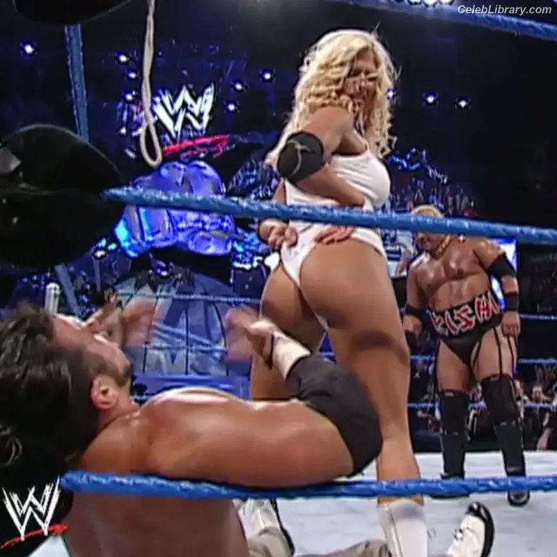 Torrie Wilson photo 1 of 2510