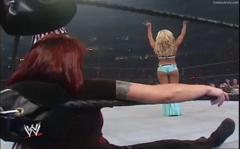 Torrie Wilson photo 2 of 2510