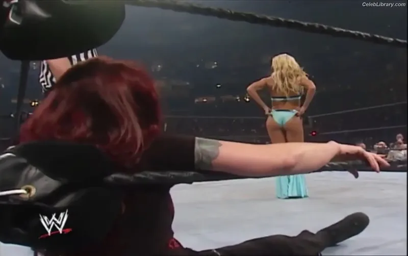 Torrie Wilson photo 3 of 2510