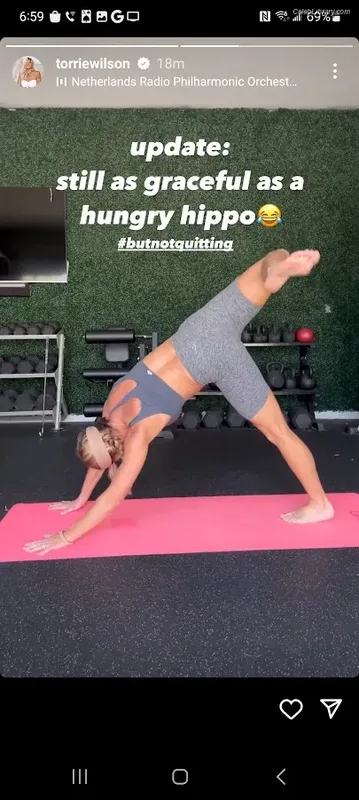 Torrie Wilson photo 18 of 2510