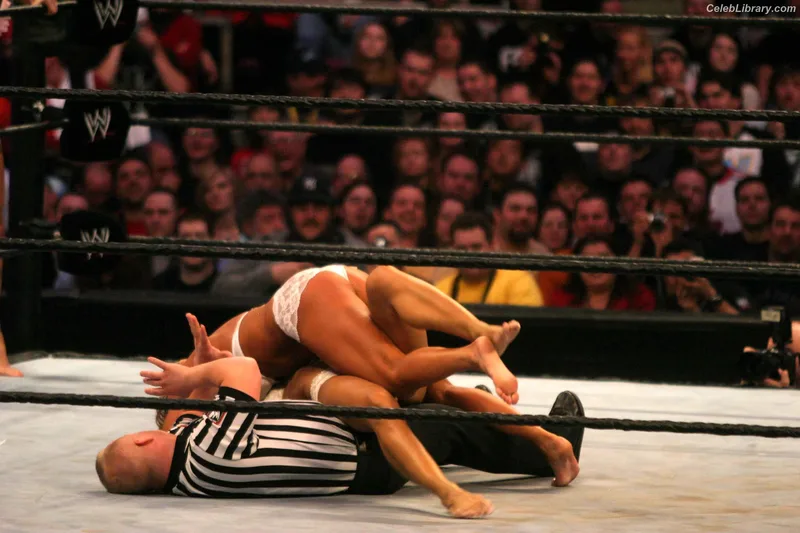 Torrie Wilson photo 17 of 2510