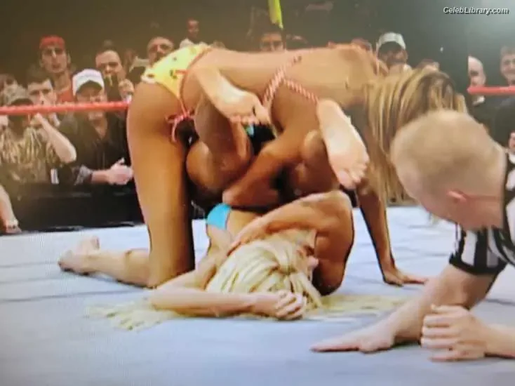 Torrie Wilson photo 3 of 2510