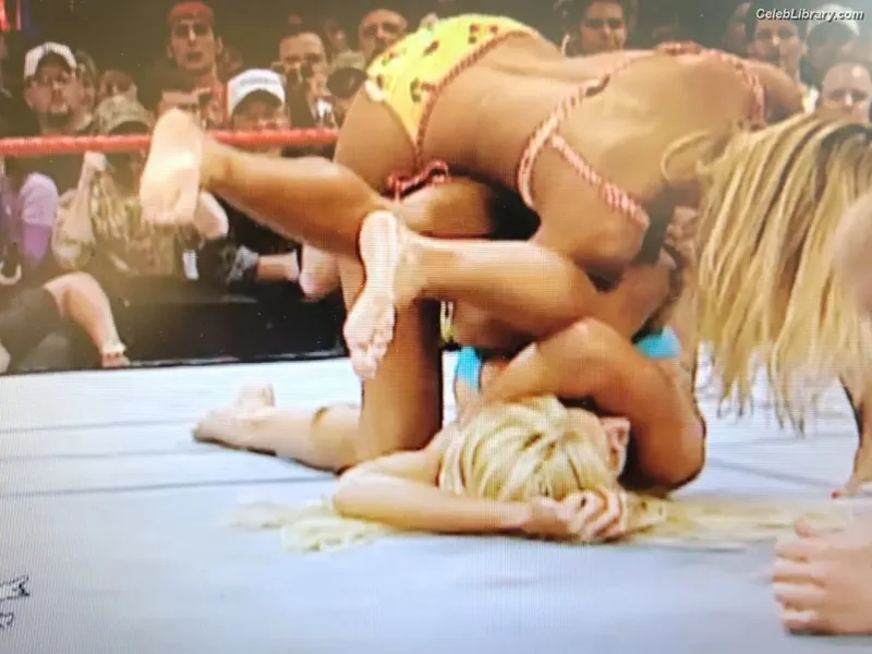 Torrie Wilson photo 5 of 2510
