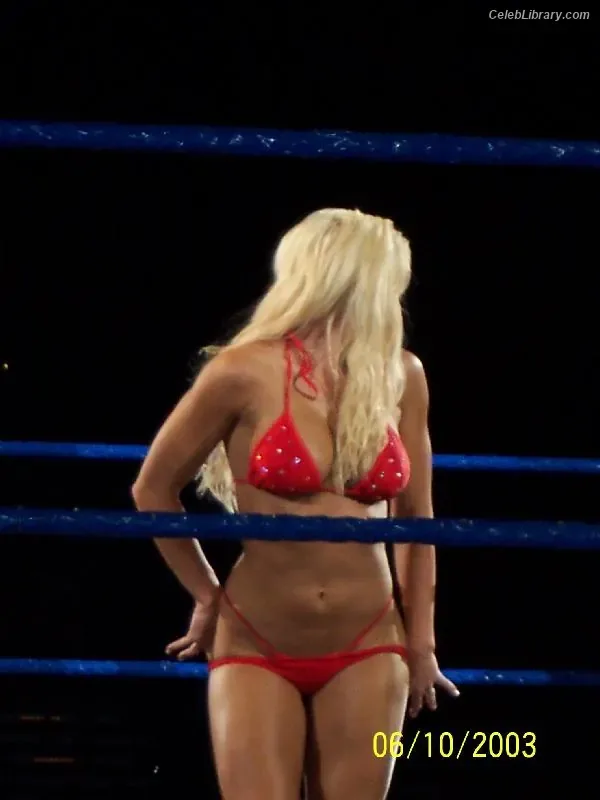 Torrie Wilson photo 9 of 2510
