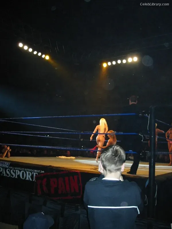 Torrie Wilson photo 13 of 2510
