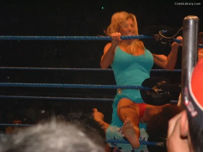 Torrie Wilson photo 13 of 2510