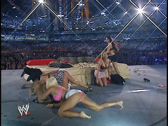 Torrie Wilson photo 21 of 2510