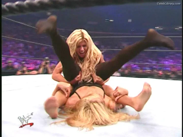 Torrie Wilson photo 19 of 2510