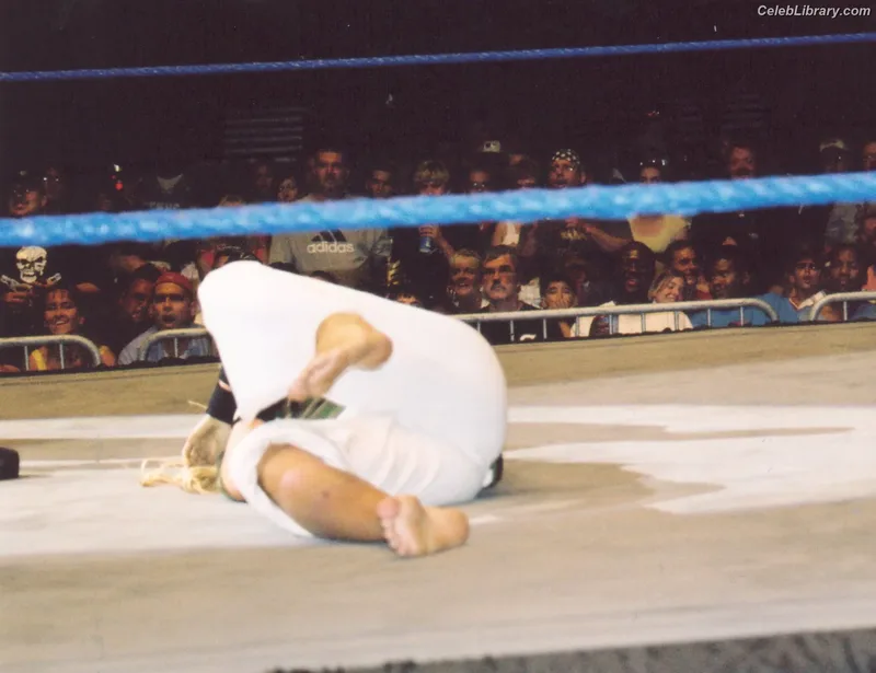 Torrie Wilson photo 13 of 2510