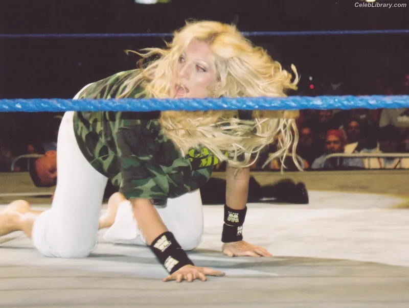 Torrie Wilson photo 15 of 2510