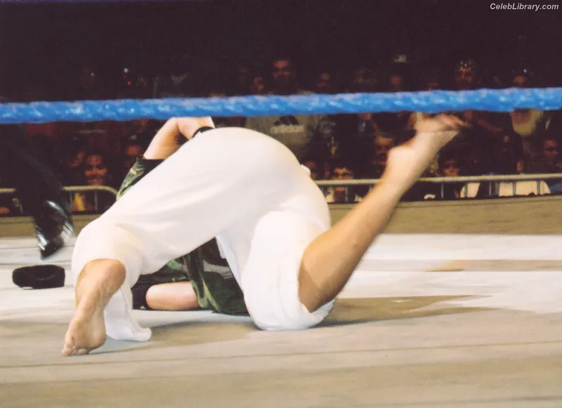 Torrie Wilson photo 16 of 2510