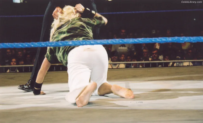 Torrie Wilson photo 17 of 2510