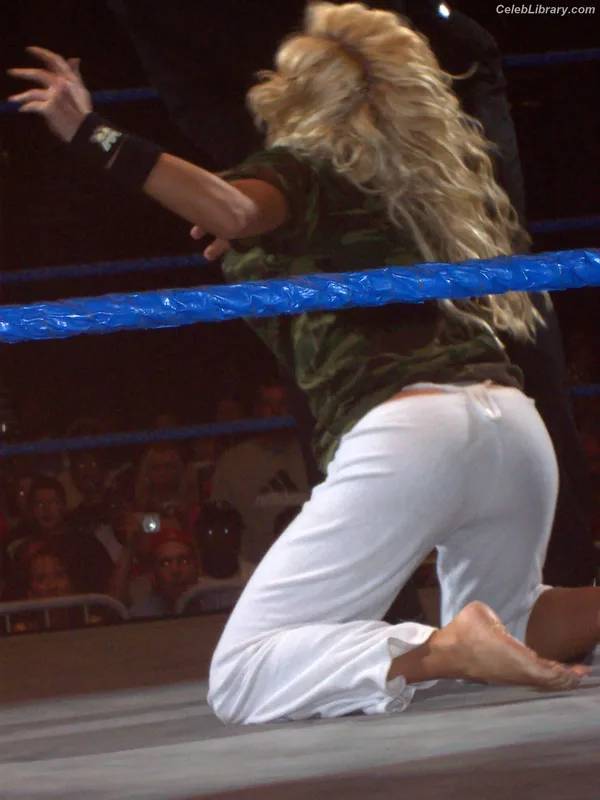 Torrie Wilson photo 18 of 2510
