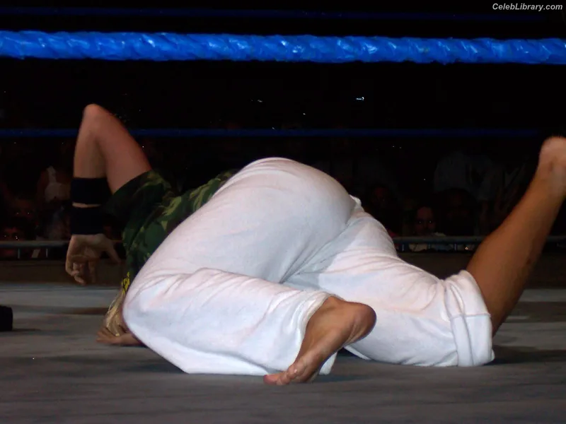 Torrie Wilson photo 19 of 2510