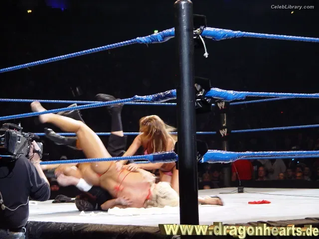 Torrie Wilson photo 10 of 2510