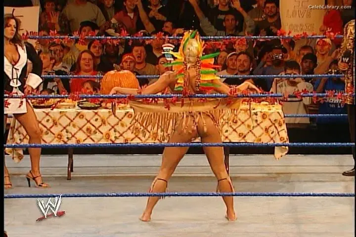 Torrie Wilson photo 20 of 2510