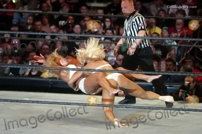 Torrie Wilson photo 1 of 2510