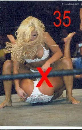 Torrie Wilson photo 16 of 2510