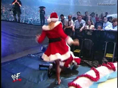 Torrie Wilson photo 14 of 2510