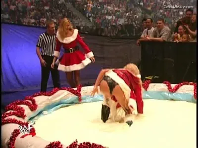 Torrie Wilson photo 19 of 2510
