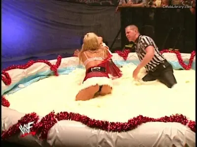 Torrie Wilson photo 22 of 2510